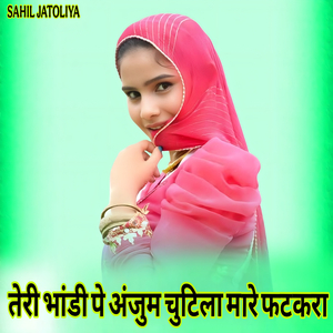 तेरी भांडी पे अंजुम चुटिला मारे फटकरा