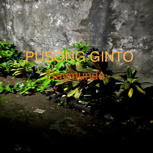 PUSONG GINTO