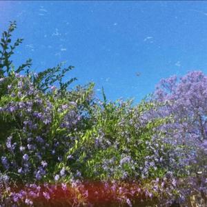 butterflies (feat. Baby Backwood)