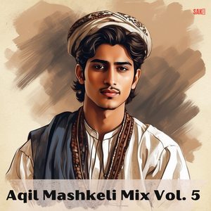 Baya O Bor Jaan Man Dilla Dareen