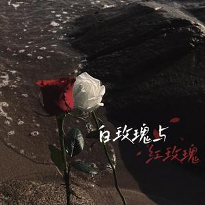 白玫瑰与红玫瑰