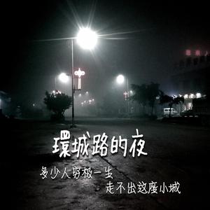 环城路的夜