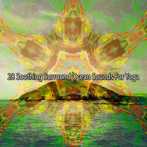 海洋瑜伽专业人士