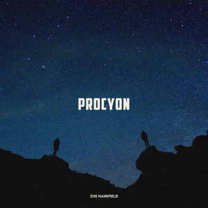 Procyon