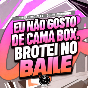 EU NÃO GOSTO DE CAMA BOX. BROTEI NO BAILE