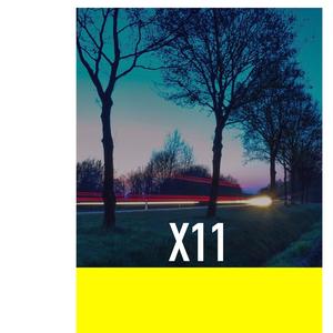 X11