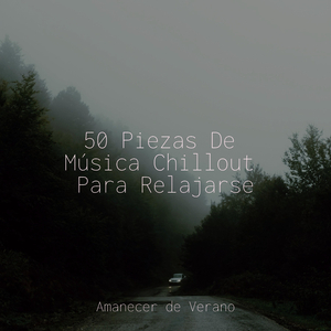 Ecos de Almas Disonantes