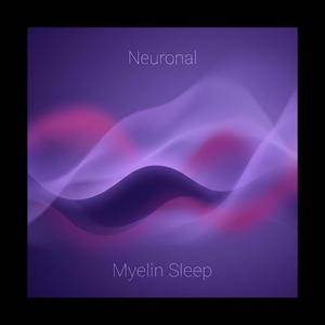 Myelin Sleep