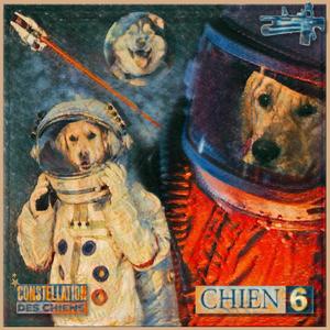 Chien 10