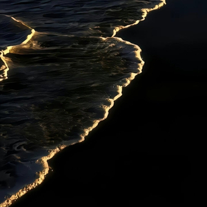 答案（proby morrow）