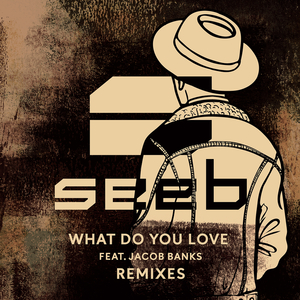 What Do You Love (SJUR Remix)