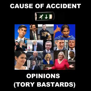 Opinions (Tory Bastards)