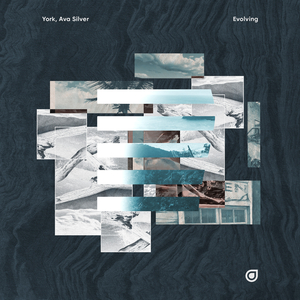 Evolving (Extended Mix)