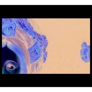 Lectiones Sacrae Novem, Ex Libris Hiob Excerptae: Lectio prima