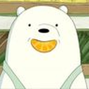 canvasful silenceing