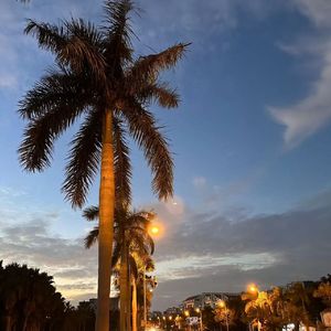 单身的我自由自在 无拘无束多么好