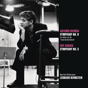 Symphony No. 9 in E Minor, Op. 95, B. 178 "From the New World":IV. Allegro con fuoco