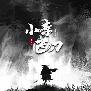 小李飞刀remix