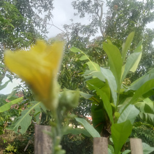 Perceraian diujung kehancuran