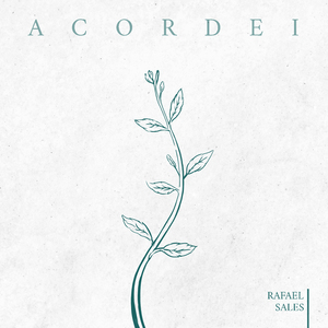 Acordei