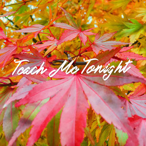 Teach Me Tonight