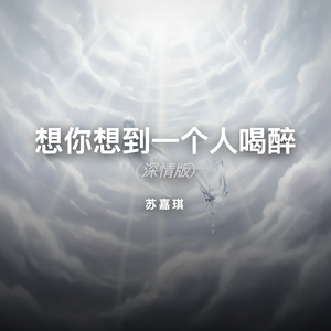 想你想到一个人喝醉 (深情版)-苏嘉琪