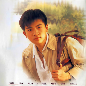 遇上爱情就不聪明