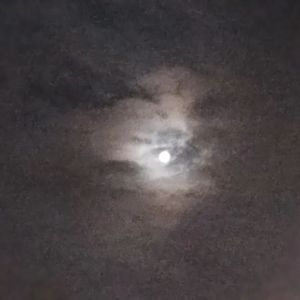 在一个喝醉的夜里，我想你