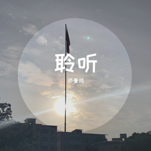 night crusing（remix）