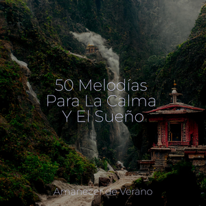 El Viaje de la Tierra Mística