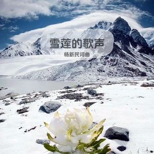 雪莲的歌声