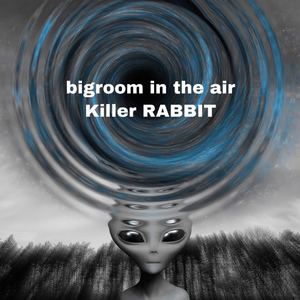 Hard well-Bigroom in the air（DJ Killer RABBIT Remix）