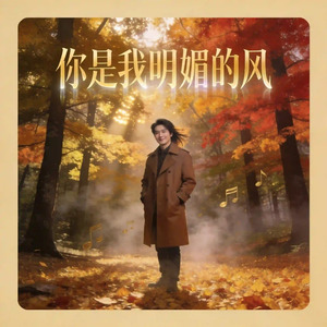 你是我明媚的风