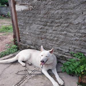 Em busca da liberdade