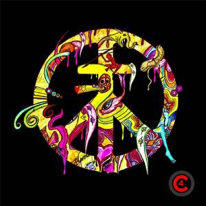 Pacifist (feat. SwizZz)