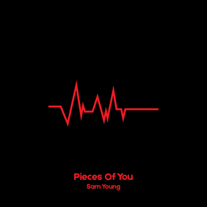 Pieces of You