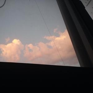 青蛙与马 Cover 纯人声版