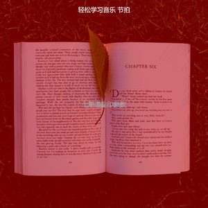 有趣深度聚焦情怀