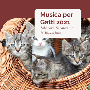Musica per Gatti 2021