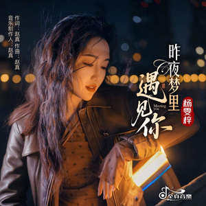 昨夜梦里遇见你