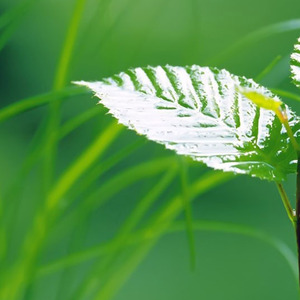 最美的旅行卡点BGM