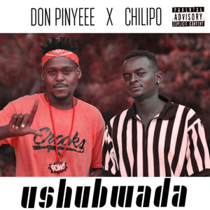 Ushubwada