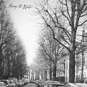 Missing The Winter (feat. Our Levee)