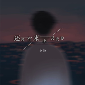 还没来不及爱你