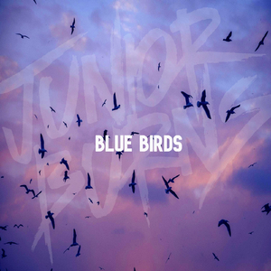 Blue Birds
