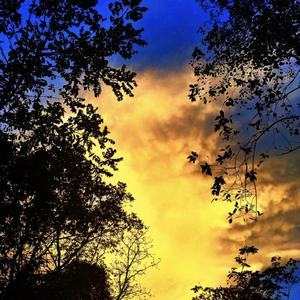 电锯惊魂（DJ版）