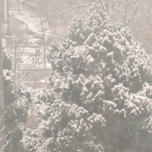 爱上一个不该爱的人