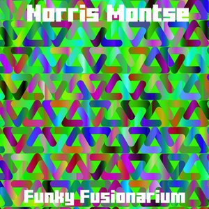 Funky Fusionarium (Original mix)