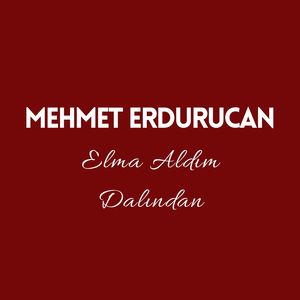 Elma Aldım Dalından