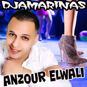 Anzour Elwali